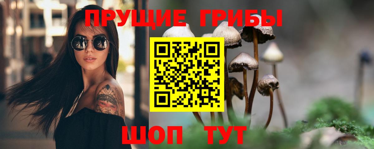 Галлюциногенные грибы Psilocybe Кемерово